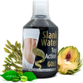 Slank Water Top Action Gold 500 ml – Drenante natural y depurativo